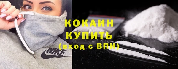 apvp Каменногорск