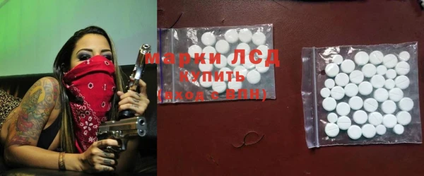 дурь Инта