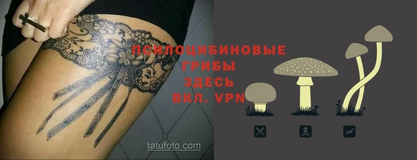 дурь Инта