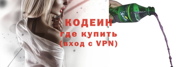 дурь Инта