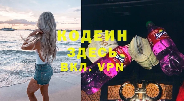 дурь Инта