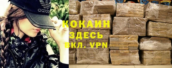 дурь Инта