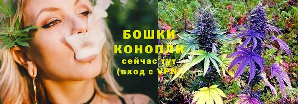 СК Инсар