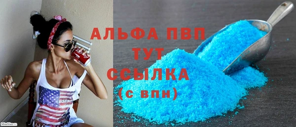 СК Инсар